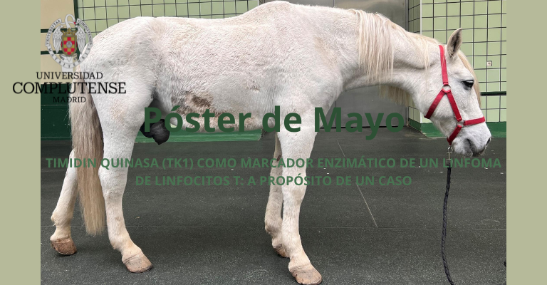 Timidin Quinasa (TK1) como marcador enzimático de un Linfoma de Linfocitos T: A propósito de un caso